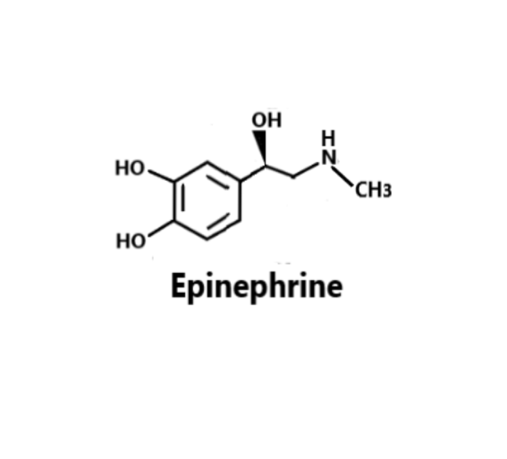 synthesis-of-epinephrine-structure-pharmasiksha