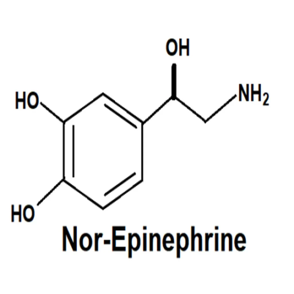 Norepinephrine structure