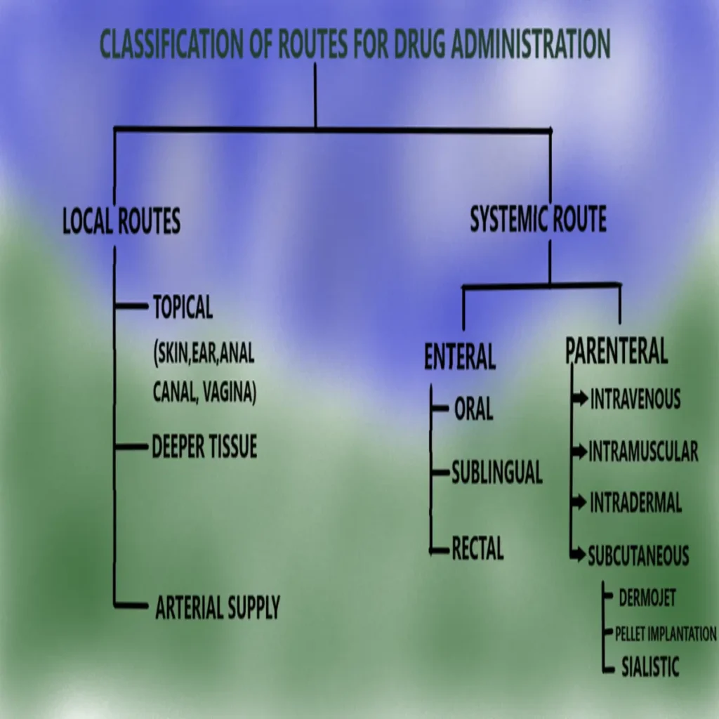 routes of drug administration